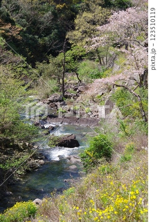 兵庫県南あわじ市 大日川 兵庫県南あわじ市 大日川 123510119