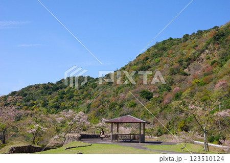 兵庫県南あわじ市 桜の咲く大日ダム公園 兵庫県南あわじ市 桜の咲く大日ダム公園 123510124
