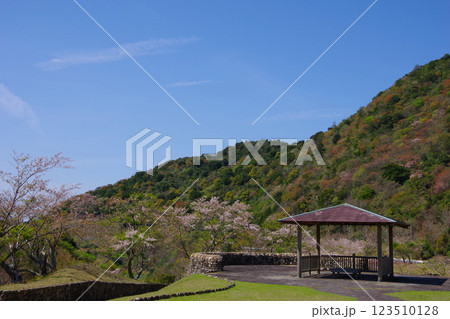 兵庫県南あわじ市 桜の咲く大日ダム公園 兵庫県南あわじ市 桜の咲く大日ダム公園 123510128