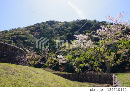 兵庫県南あわじ市　桜の咲く大日ダム公園 123510132