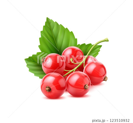 Realistic red currant berry with glossy skin and vibrant green leaves, showcasing freshness and sweetness. 3d vector fruits for healthy eating, gardening, or culinary uses such as jams and desserts 123510932