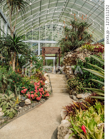 Cactus and succulent garden in glass house in botanic park on Bali island 123511252