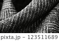 Close-Up of Herringbone Wool Fabric Texture 123511689