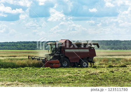 Rural landscape. Harvester for harvesting grain crops 123511780