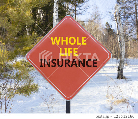Whole life insurance symbol. Concept words Whole life insurance on beautiful red road sign. Beautiful snow forest background. Business whole life insurance concept. Copy space. 123512166