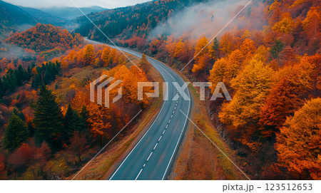 Autumn road landscape in beautiful nature 123512653