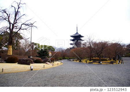 京都府　東寺・庭園 五重塔　京都市 南区 九条町　2022年2月 123512943