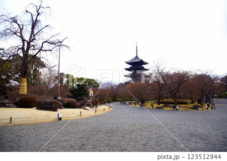 京都府　東寺・庭園 五重塔　京都市 南区 九条町　2022年2月 123512944