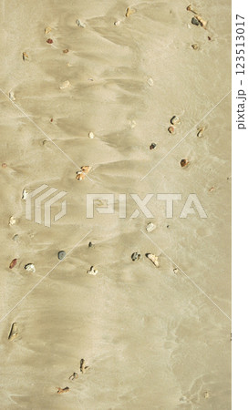 A lot of small corals on the sand. View from the top A lot of small corals on the sand. View from the top 123513017