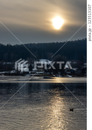 Duck in the reflection of a sunset, Lipno, Czechia Duck in the reflection of a sunset, Lipno, Czechia 123513107