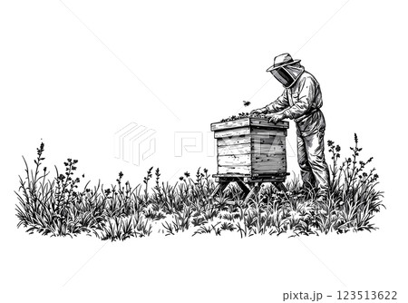 Beekeeper harvesting honey with bees around, vintage engraving 123513622