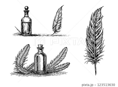 Vintage witchcraft set with potions and feathers, mystical engraving Vintage witchcraft set with potions and feathers, mystical engraving 123513630