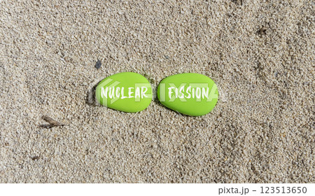Nuclear fission symbol. Concept words Nuclear fission on beautiful green stone. Beautiful sand beach background. Business science nuclear fission concept. Copy space. 123513650