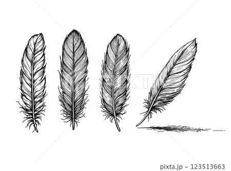Vintage witchcraft set with mystical feathers, engraved illustration 123513663