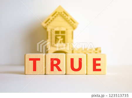 True symbol. Concept word True on beautiful wooden blocks. Beautiful white table white background. Wooden beautiful house. Business, lifestyle, support and true concept. Copy space. 123513735