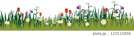 Seamless spring summer grass horizontal border with meadow plants silhouette 123513956