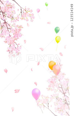 美しく華やかな花びら舞い散る春の桜とカラフルな風船の飛ぶ白バックフレーム背景素材 美しく華やかな花びら舞い散る春の桜とカラフルな風船の飛ぶ白バックフレーム背景素材 123514149