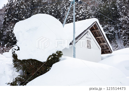 【前沢曲家集落】昼下がりの雪深い山村集落 123514473