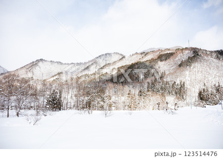 【前沢曲家集落】昼下がりの雪深い山村集落 【前沢曲家集落】昼下がりの雪深い山村集落 123514476