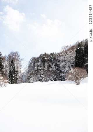 【前沢曲家集落】昼下がりの雪深い山村集落 123514487