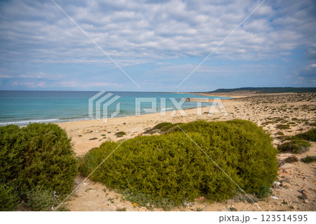 A wild, untouched beach on the northern coast of Cyprus, known as a nesting site for sea turtles. The image captures the pristine beauty of nature and the fragile ecosystem of marine wildlife 123514595