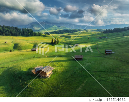 Aerial view of wooden houses on alpine meadow in mountain valley 123514681