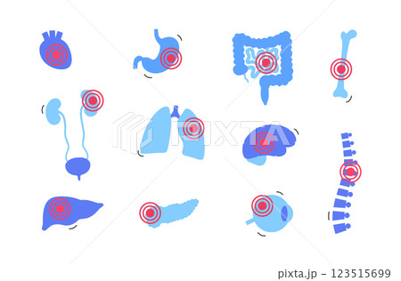 Human internal organs 123515699