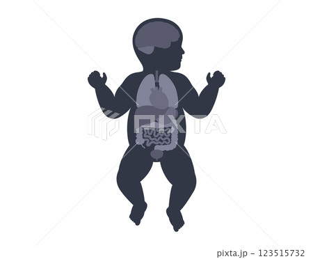 Human internal organs 123515732