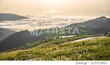 Mountain landscape with blooming plants, sunrise or sunset and clouds in the background. 123515821