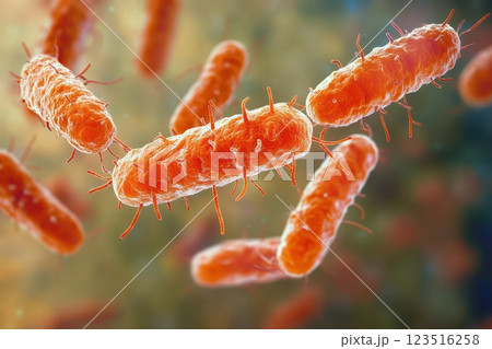 Detailed view of bacteria under a microscope 123516258