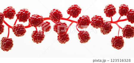 Colorful raspberry branches on a white background 123516328