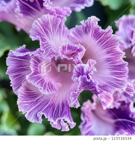 Vivid purple flower with detailed petals 123516334