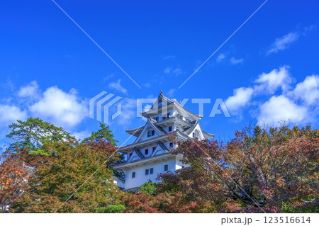 青空バックに見る色づき始めた紅葉に囲まれたお城の情景 青空バックに見る色づき始めた紅葉に囲まれたお城の情景 123516614