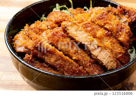 【食べ物素材】どんぶりに盛られたソースカツ丼【郷土料理】 123516806