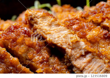 【食べ物素材】どんぶりに盛られたソースカツ丼【郷土料理】 【食べ物素材】どんぶりに盛られたソースカツ丼【郷土料理】 123516809