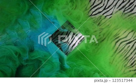 Zebra paint water. Liquid dye ethereal. Defocused green blue multicolor cube haze fume fog smoke splash ink on patterned light background. 123517344