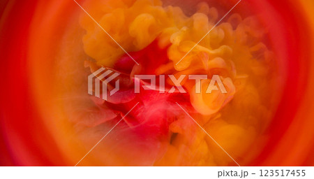 Smoke explosion. Mist flower. Elegant live glow nature rose red orange spray paint circle defocused peach fume water abstract color background. 123517455