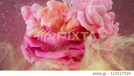 Wave fog. Rose flower. Liquid pink peach orange paint swirl explosion water natural bud. Art purple fluid blur mix abstract background texture. Wave fog. Rose flower. Liquid pink peach orange paint swirl explosion water natural bud. Art purple fluid blur mix abstract background texture. 123517504