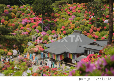 ツツジに囲まれた塩船観音寺本堂 123517812