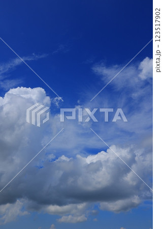 青空に浮かぶ雲 青空に浮かぶ雲 123517902
