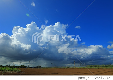 青空に浮かぶ雲 123517952