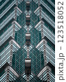 101 123518052
