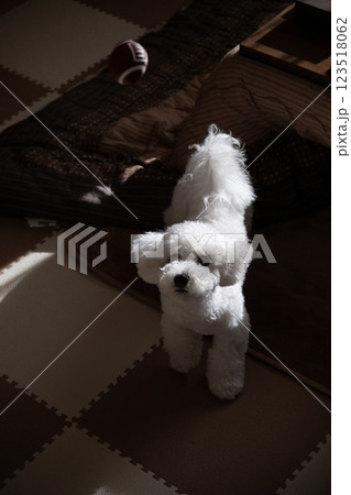 遊び 遊び 123518062