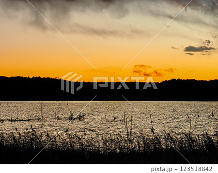 夕日に染まる印旛沼 123518842