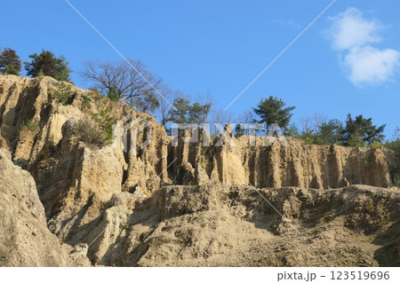 岩のある風景 123519696