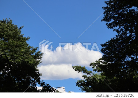 梅雨時期の晴れ間浮かぶ、六月の雲 梅雨時期の晴れ間浮かぶ、六月の雲 123519726