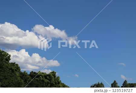 梅雨時期の晴れ間浮かぶ、六月の雲 123519727