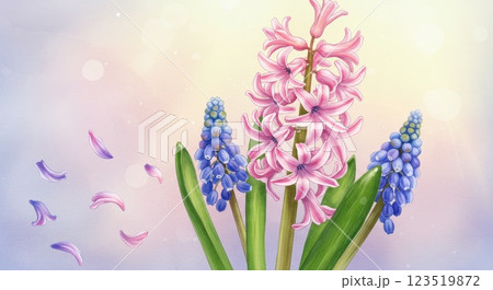 ヒヤシンスの水彩画イラスト ヒヤシンスの水彩画イラスト 123519872
