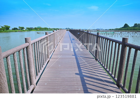 初夏　遊歩道　水量たっぷりの伊佐沼　7月湖畔の風景　　 123519881