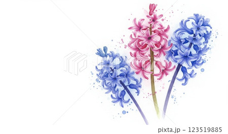 ヒヤシンスの水彩画イラスト 123519885